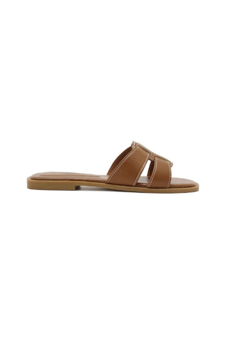  CAMEL