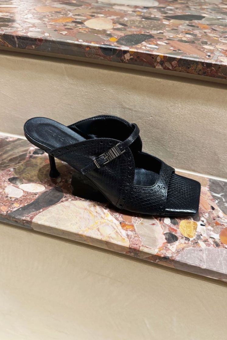  BLACK PYTHON
