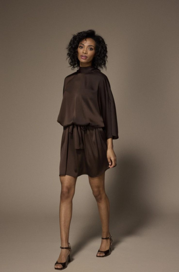  040 Brown BRUIN