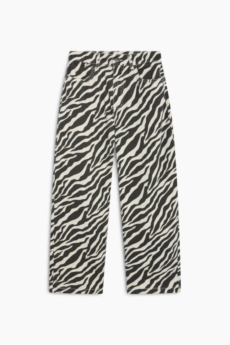  zebra